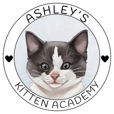 Ashley’s Kitten Academy profile