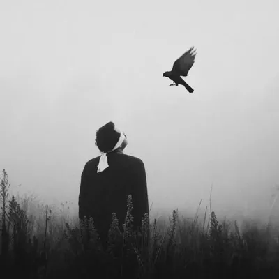 ᴀꜱʜʀᴀꜰ ꜱʜᴀɪᴋʜ profile