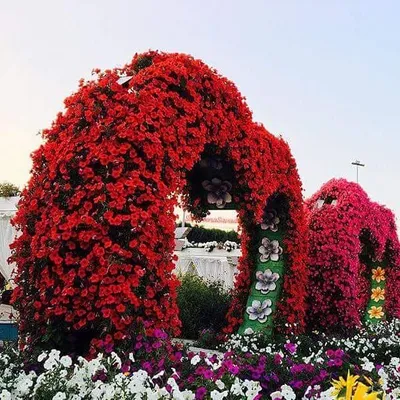 Fun,๐๐ Food,Art ,SocIal Media profile