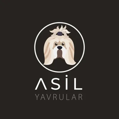 Asil Yavrular profile