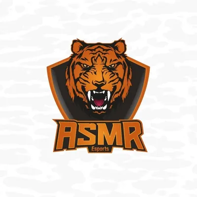 ASMR Esports profile