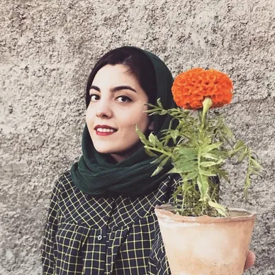 برنامه ریزی و بولت ژورنال✨ profile