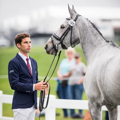 Astier Nicolas Officiel profile