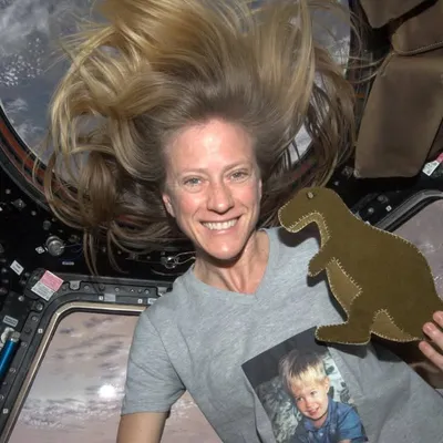Astronaut Karen Nyberg profile
