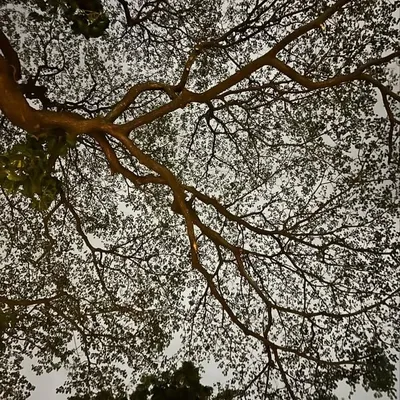 Aswin Sambamurthy profile
