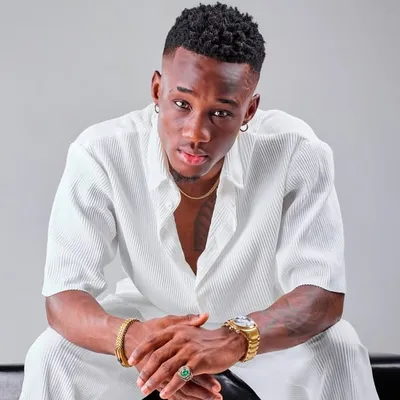 Lastar profile