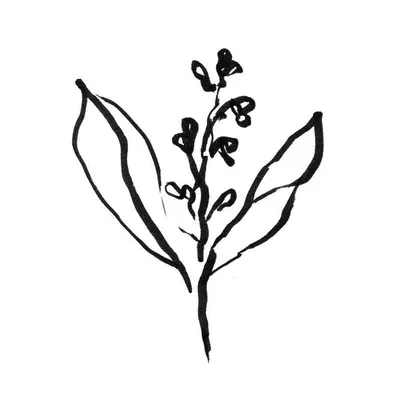 Atelier Caramella profile