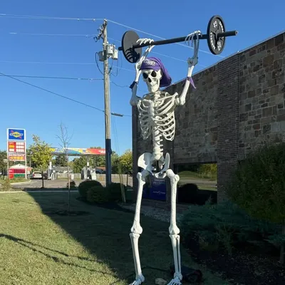 Anytime Fitness profile
