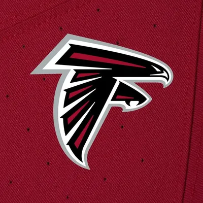 Atlanta Falcons profile