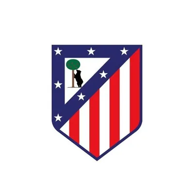 Atlético de Madrid profile