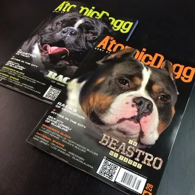 Atomic Dogg Magazine profile