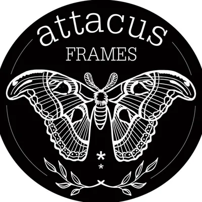 Attacus Frames profile