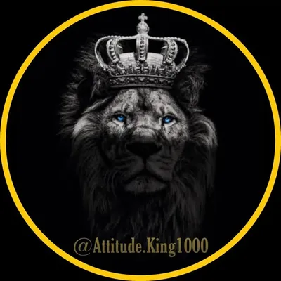 attitude king 1000 profile