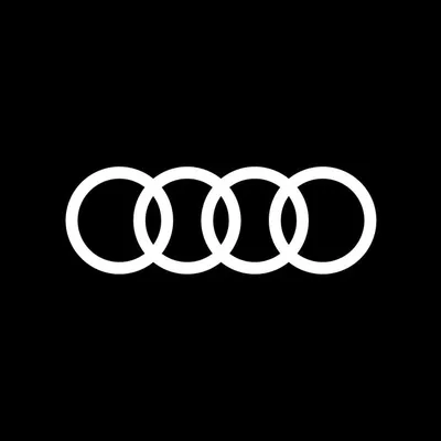 Audi do Brasil profile