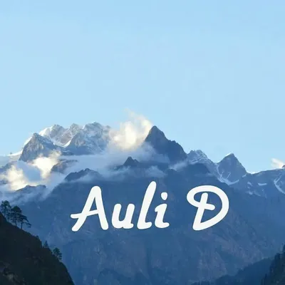 Auli D profile