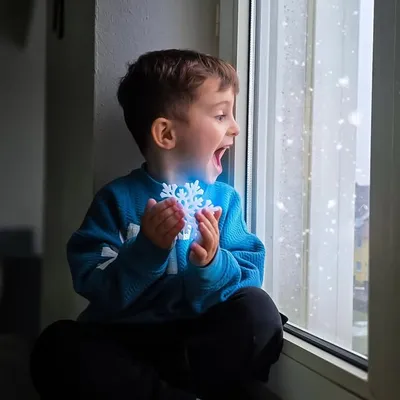 Aurel 🧸 Loris profile