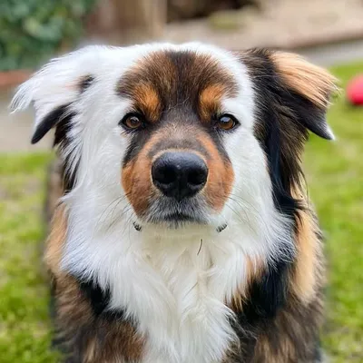 Milow profile