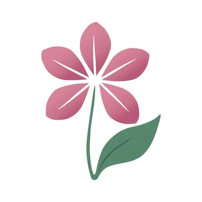 Aust. College Of Aromatherapy profile