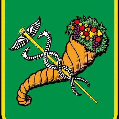Авто выкуп profile
