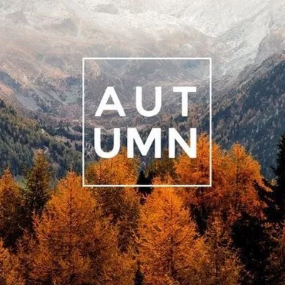 autumn & winter profile
