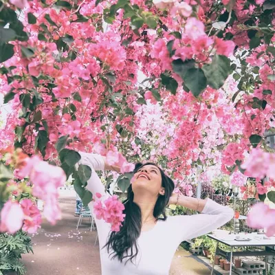 Auxy Ordonez | ๐ญ๐ณ en ๐ฏ๐ต profile