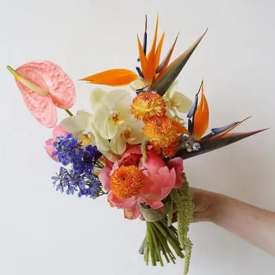 AVGUST FLOWERS profile