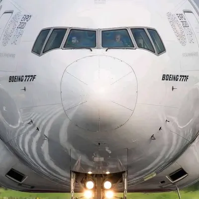 The Aviator profile