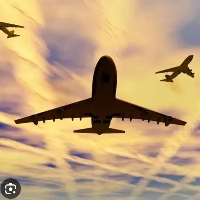 Aviation Reels profile