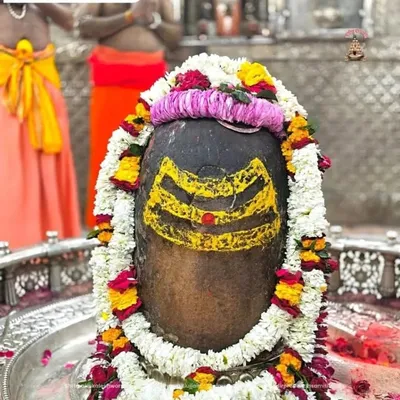साम्ब सदाशिव🔱🔱 profile