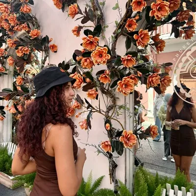 Avneet Sethi profile