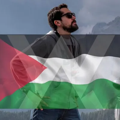 Ahmed El Wakil - أحمد الوكيل profile