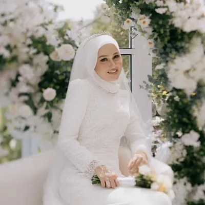 Anis profile