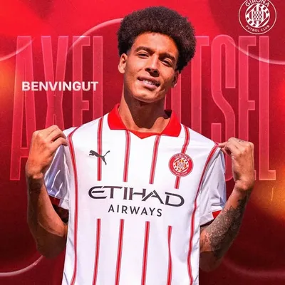 Axel Witsel profile