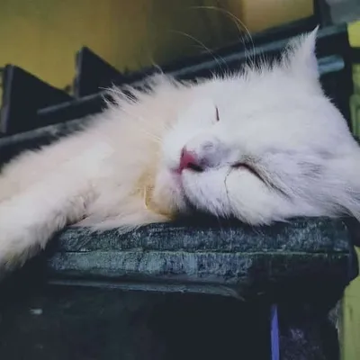 ایاز خان😎 profile