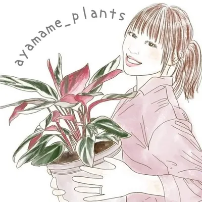 あやまめ - plantlover - profile