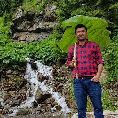 Bülent İsmailoğlu profile