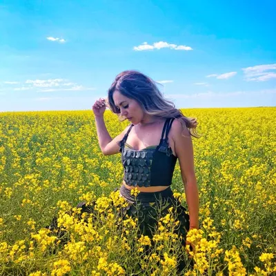 Ayla profile