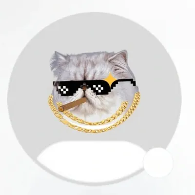 ๐ผ๐ฎ๐ช๐จ๐ ๐๐ช๐ข๐๐ง _77 profile