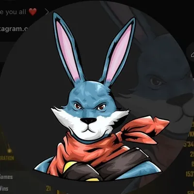 AYAN_FF💲 profile