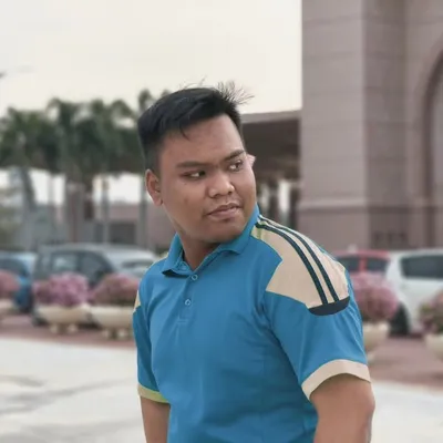 M O H D A Z I Z A M profile