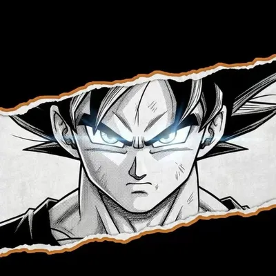 🇮🇳 🇵🇸 { Aȥʅαɳ _ Mαʅιƙ } profile