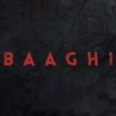 Baaghi profile