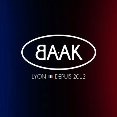 BAAK | Motorcycle & Automotive profile