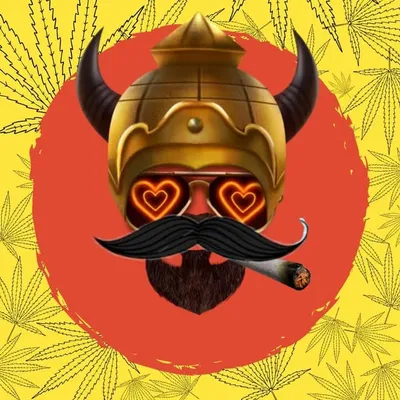 BABA MEME BAAZ profile
