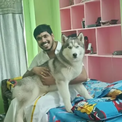 Saketh Reddy profile