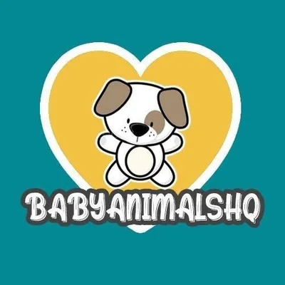 Animals ❤️ profile