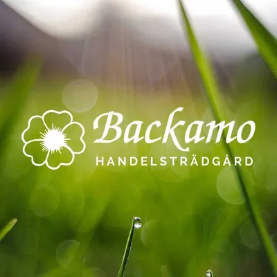 Backamo Handelsträdgård profile