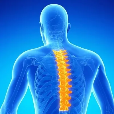 BACK PAINš¹NECK PAINš¹RELIEF profile