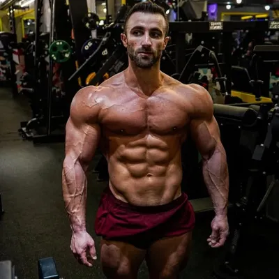 bahij profile