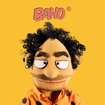 BAHO profile